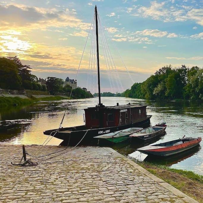 Le 20 La Loire Maison De Bord De Loire Chalonnes-sur-Loire Zewnętrze zdjęcie